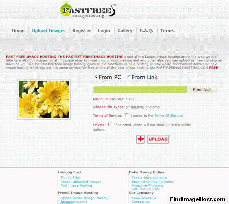 Fast free image hosting image hosting site