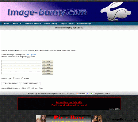 Image-bunny image hosting site